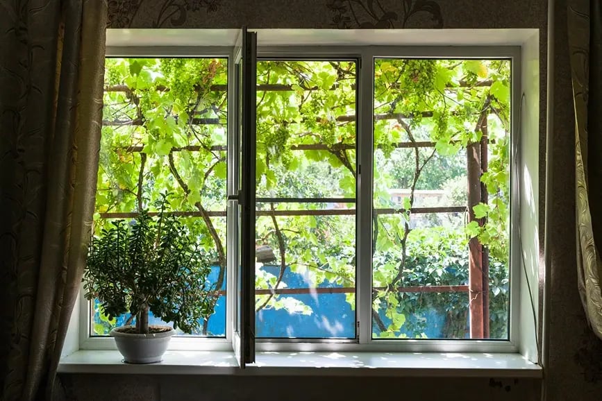 casement-window-countryside