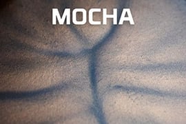 Penntek's mocha metallic epoxy coating