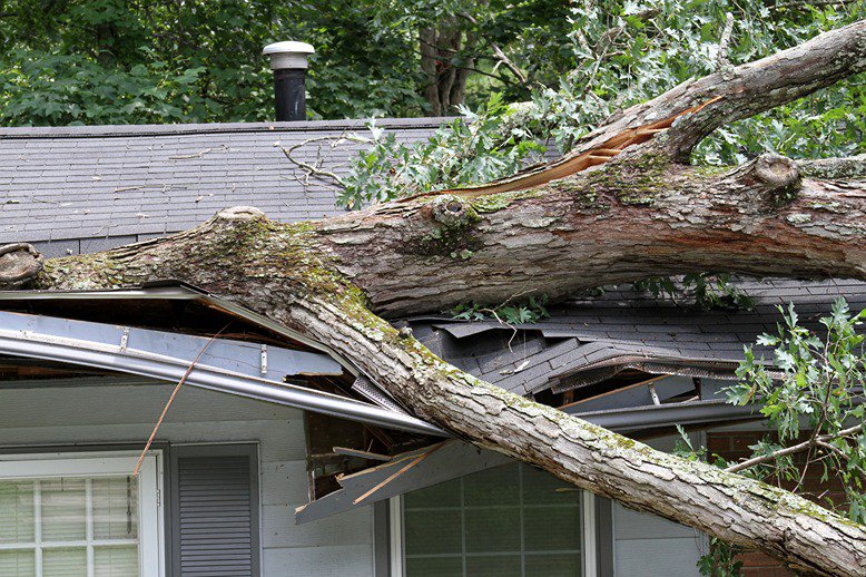 damage roof 