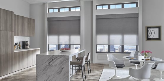 Hunter Douglas roller shades in a grey color