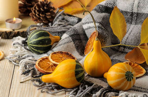 A black and white plaid blanket laid out on a porch with gourds and pine cones.