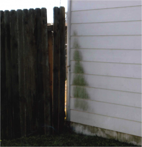 Water Damage House Siding