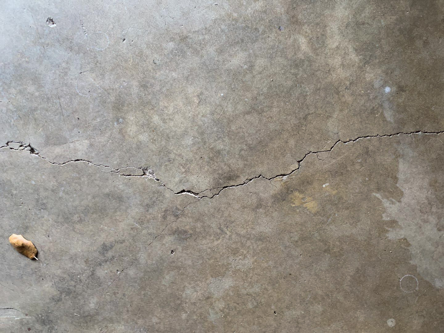 Cracked concrete slab, indicating a potential foundation issue in a home. A leaf is on the edge of the slab.