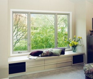 energy efficient window replacement