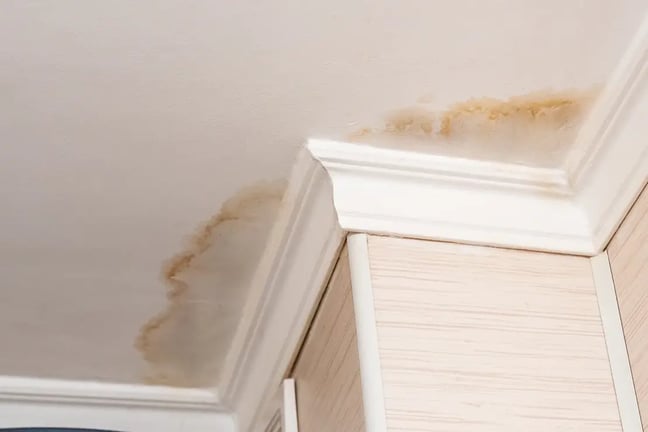 mildew-mold-on-celing