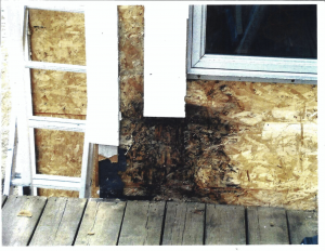 Rot Mold Siding Damage